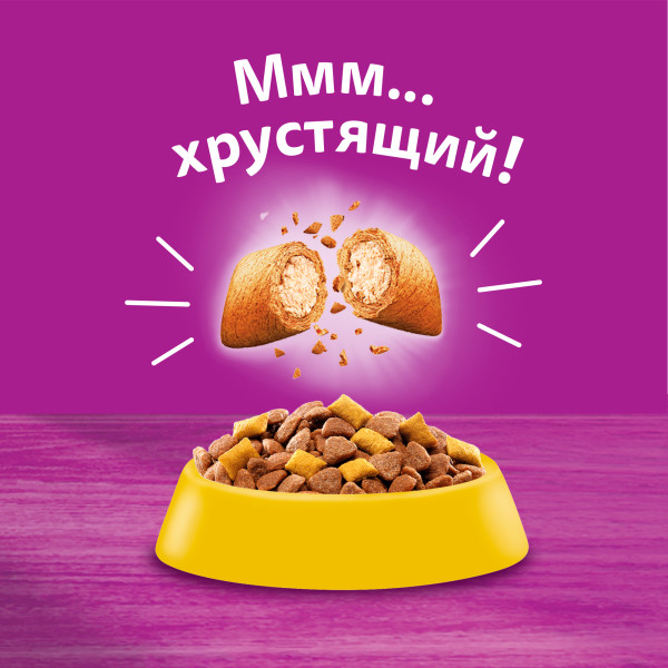 

Сухой корм Whiskas для стерилизованных кошек с курицей и вкусными подушечками 350 г