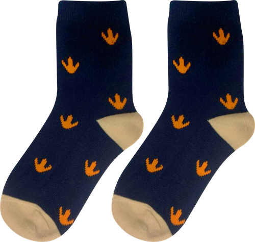 

Носки детские Inwin Дино р. 14–22 7 пар ассорти