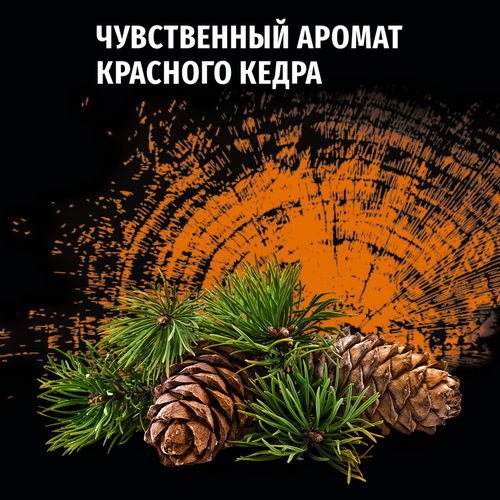 

Дезодорант роликовый мужской Фа Men Красный кедр 50 мл