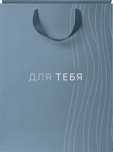 

Пакет подарочный City Home Trade Basic Men 31.5 х 25.5 х 11 см 1 шт.
