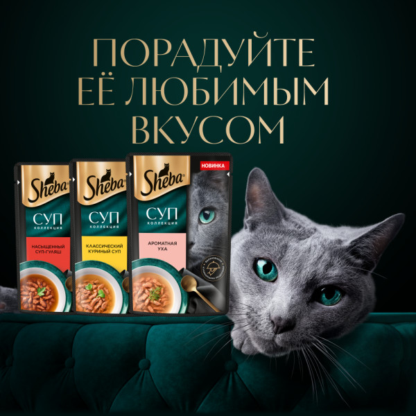 

Влажный корм Sheba Суп Коллекция для взрослых кошек с добавлением курицы 70 г