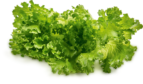 

Салат листовой Фриллис 80 г