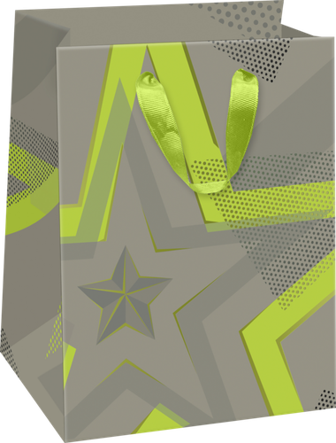 

Пакет подарочный Neon, 14х19х11см, Арт. SMT