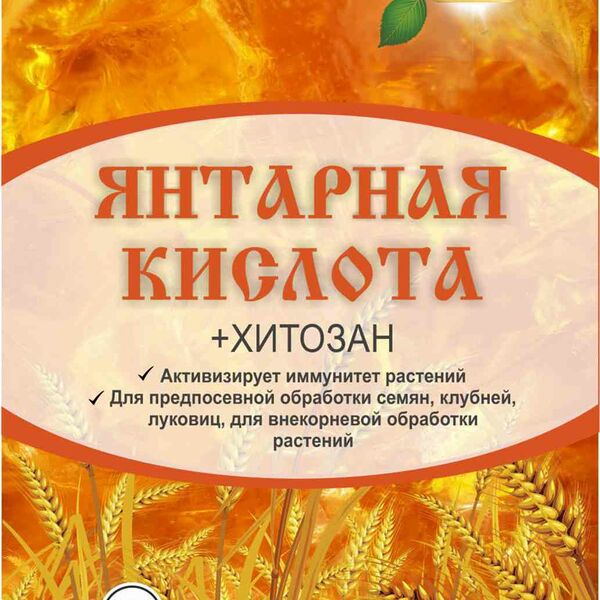 Янтарная кислота Ортон с хитозаном