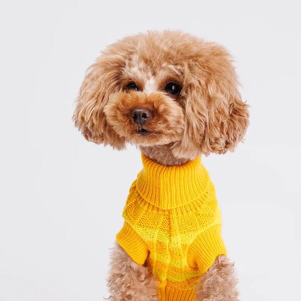 Свитер полосатый для кошек и собак, 20 см, желтый