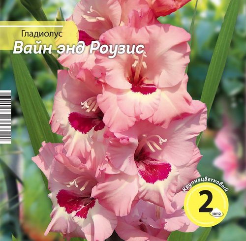 

Луковицы Гладиолус Вайн энд Роузис, Арт. НК386610, 2шт 120 г