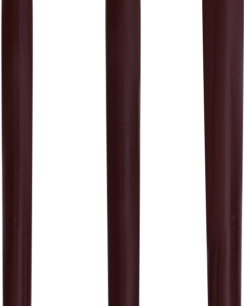 Набор кистей 365 ДНЕЙ пони, №4, №6, №8, Арт. L52286