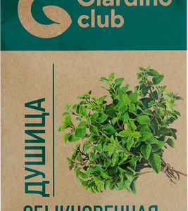 Семена GIARDINO CLUB Душица обыкновенная Нарядная, 0,1г