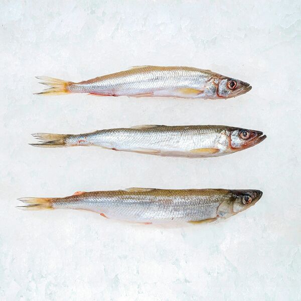 Корюшка охлаждённая