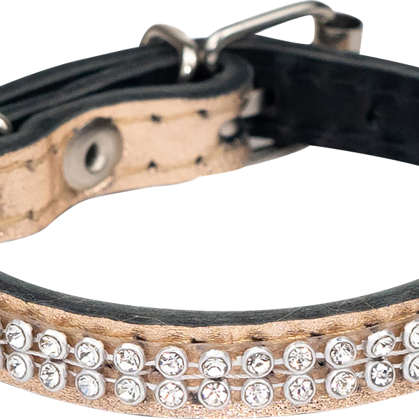 Ошейник кожаный ЛЕНТА 10мм обхват 16–22см со стразами 2х-слойный цветной