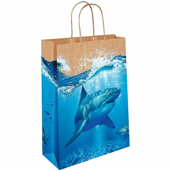 Сумка подарочная Арт и Дизайн АВ 26х36см, в ассортименте