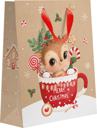 

Пакет подарочный Snow крафт, 23х18х10 см, Арт. KM в ассортименте 1 шт.