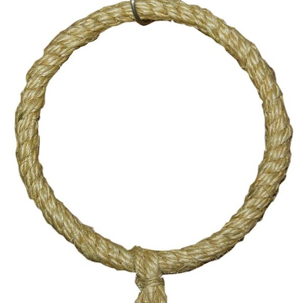 ParrotsLab кольцо-качели для попугаев 20 см.