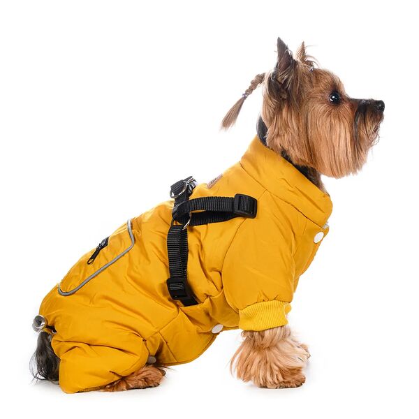 Комбинезон Petmax со шлейкой для собак XS желтый (девочка)