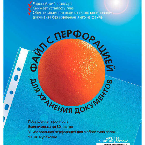 Файл с перфорацией для хранения документов 10 шт 