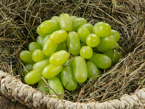 Виноград зеленый без косточек