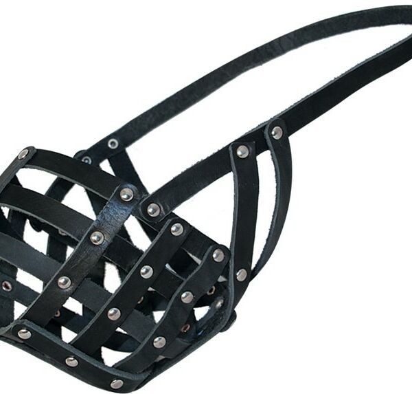 Гамма намордник кожаный №5