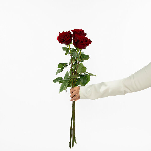 Красные розы (3 шт.)