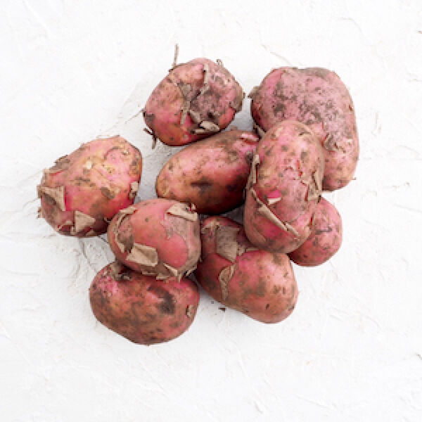 Красный картофель