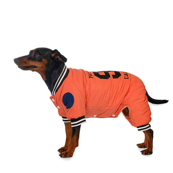 Комбинезон для собак (девочка)