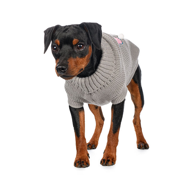 Свитер для собак 50см 3XL серый (унисекс)