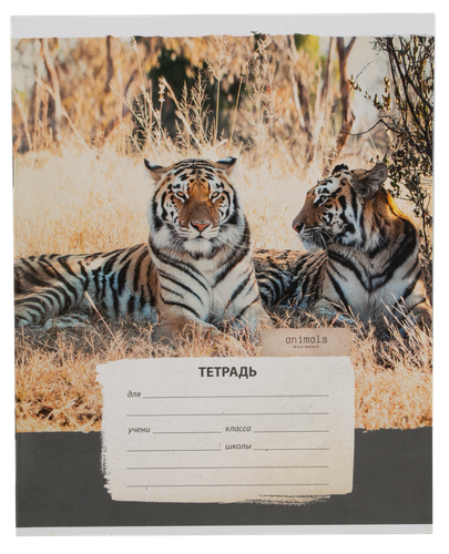 

Тетрадь ArtSpace для мальчиков 12 листов в клетку 1 шт. дизайн в ассортименте