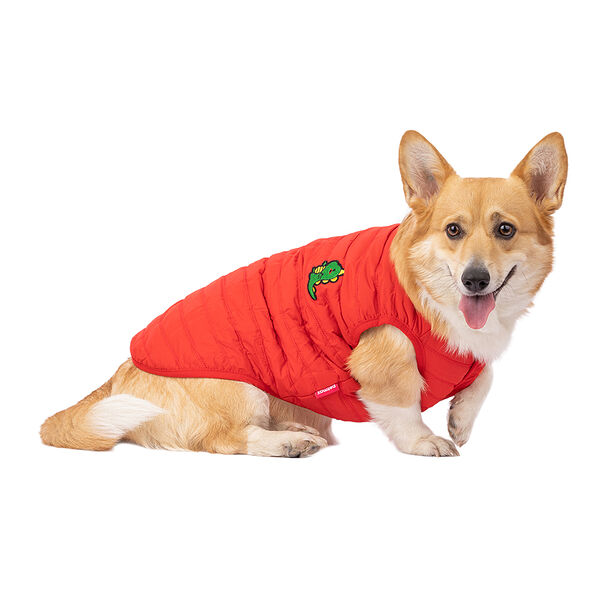 Жилетка для собак с дракошей 3XL (унисекс)