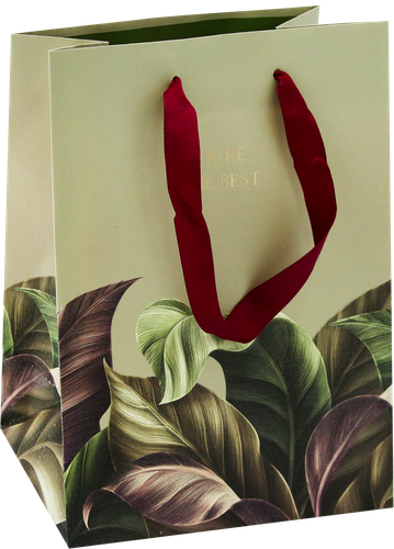 

Пакет подарочный MESHU The best, 18х23х10см, отделка фольгой, выборочный лак, матовая ламинация