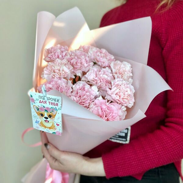 Букет Розовых Диантусов