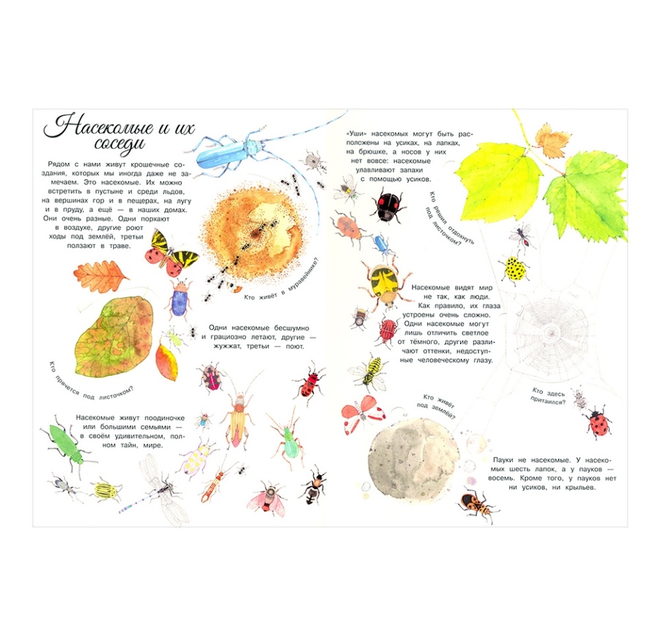 

Книга "Мистер Жук и его соседи. Путешествие в мир насекомых" Перабони Кристина, Банфи Кристина Мария