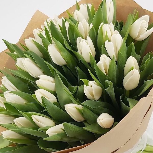 31 белый тюльпан в крафте