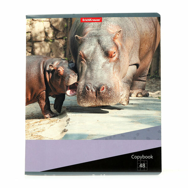 Тетрадь общая в клетку, 48л ТМ Erich Krause (Эрих Краузе)