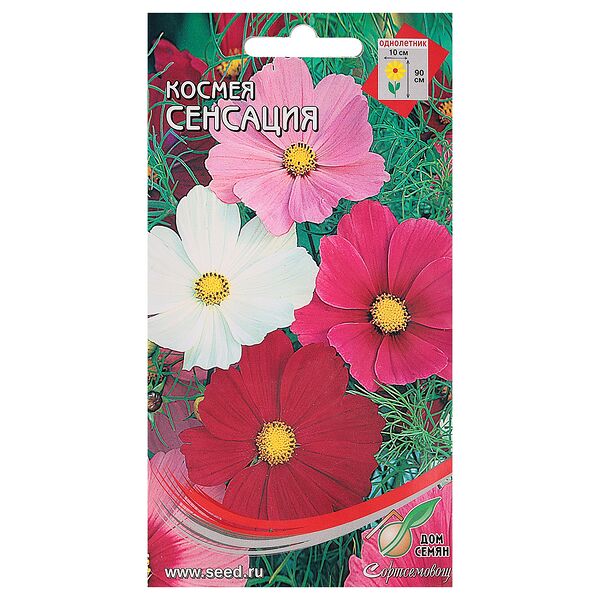 Семена Космея Сенсация