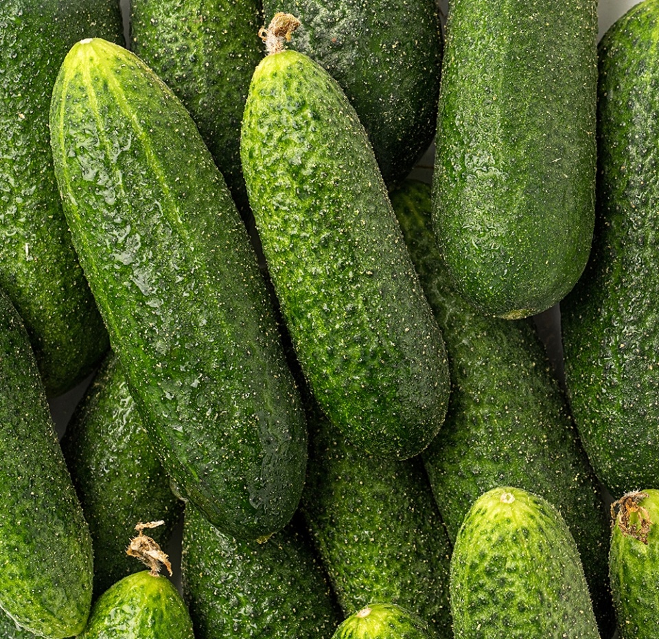 

Огурцы корнишоны вес