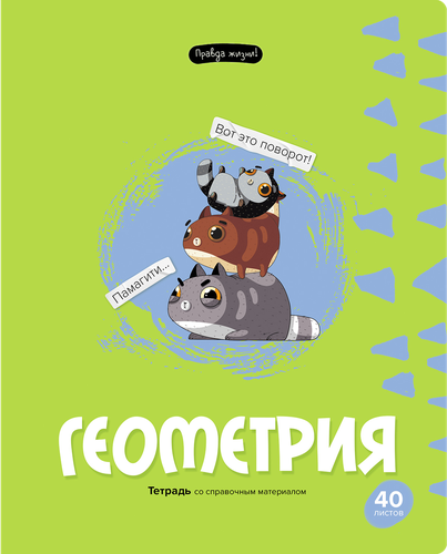 

Тетрадь BG Правда жизни Геометрия, 40 листов, Арт. ТП5ск40 12199