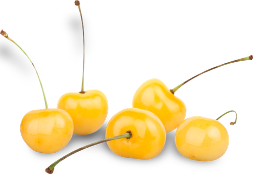 

Черешня жёлтая, вес