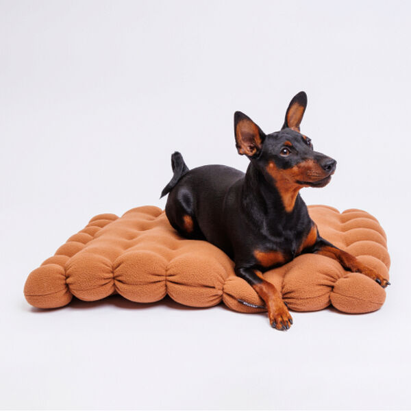 Лежак квадратный для кошек и собак Крекер, 50 см, коричневый