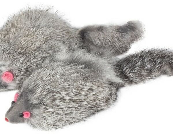 Triol игрушка 