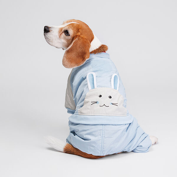 Комбинезон Petmax для собак Ушки, 5XL, голубой