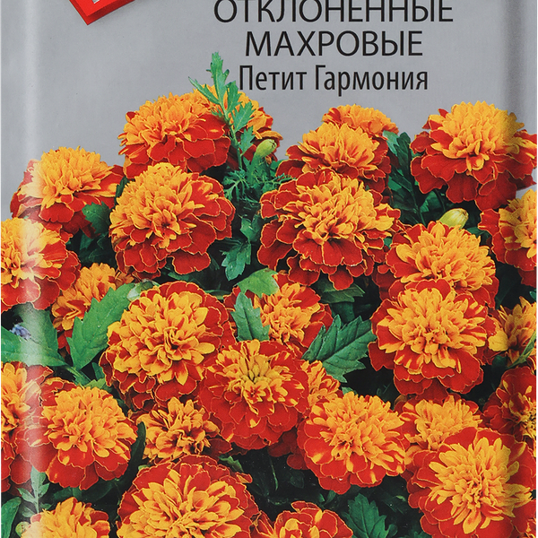 Семена ПОИСК Бархатцы отклоненные махровые Петит Гармония, 0,4г