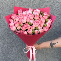 Изображение 3