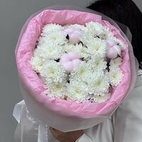 Изображение 4