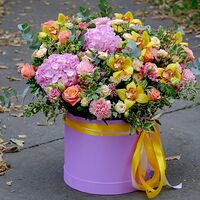 Изображение 2