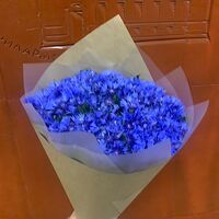 Изображение 5