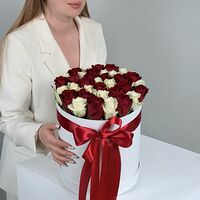 Изображение 3