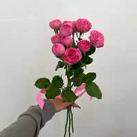 Изображение 8