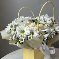 Изображение 2