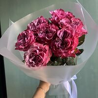 Изображение 4