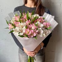 Изображение 2