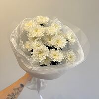 Изображение 3